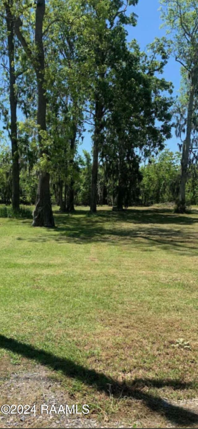 LOT13 Wilson Ln, Port Barre LA, 70577 land for sale