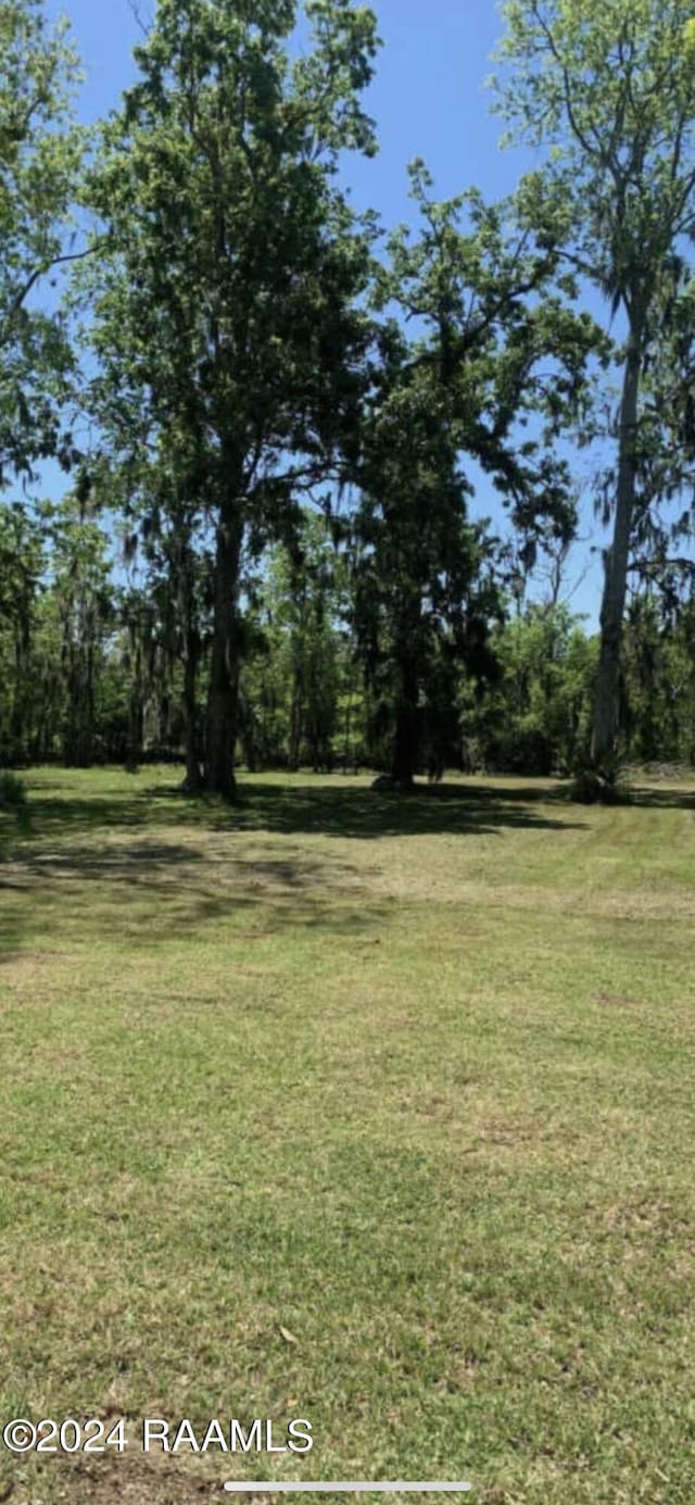 Listing photo 3 for LOT13 Wilson Ln, Port Barre LA 70577