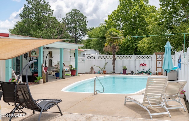 view of pool with a patio