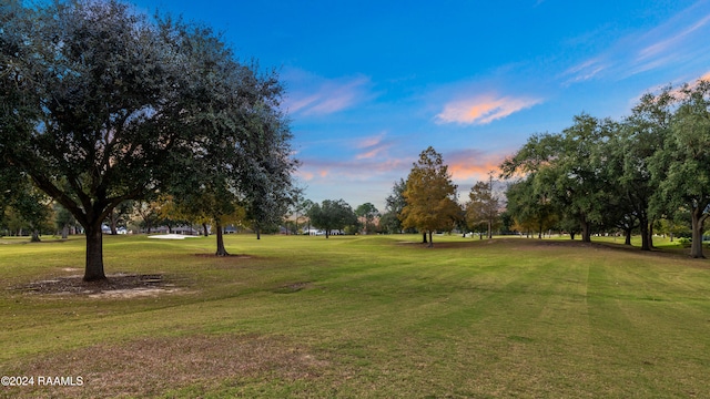 view of home's community with a lawn