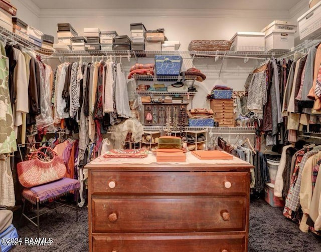 1015 Lee Ave, Lafayette, LA 70501 - spacious closet with carpet