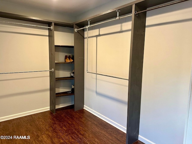 walk in closet featuring dark hardwood / wood-style floors