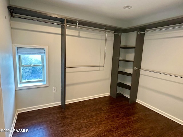 spacious closet featuring dark wood-type flooring