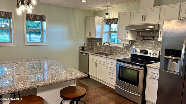 2213 Mills St, Lafayette, LA 70507 - kitchen with appliances with stainless steel finishes, under cabinet range hood, healthy amount of natural light, tasteful backsplash, and a drop ceiling