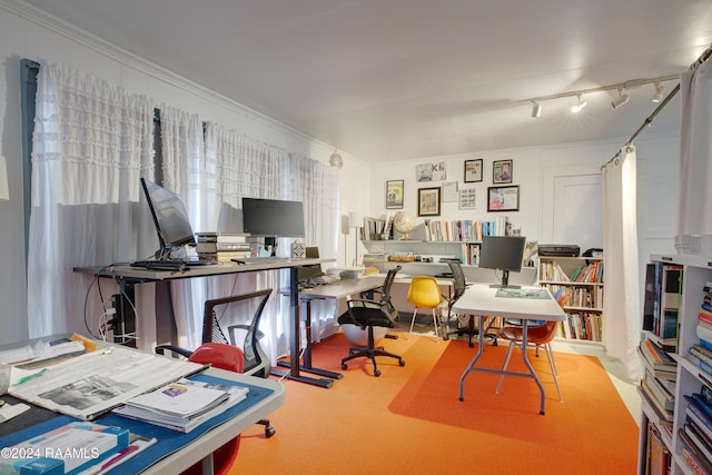 office space with crown molding and track lighting