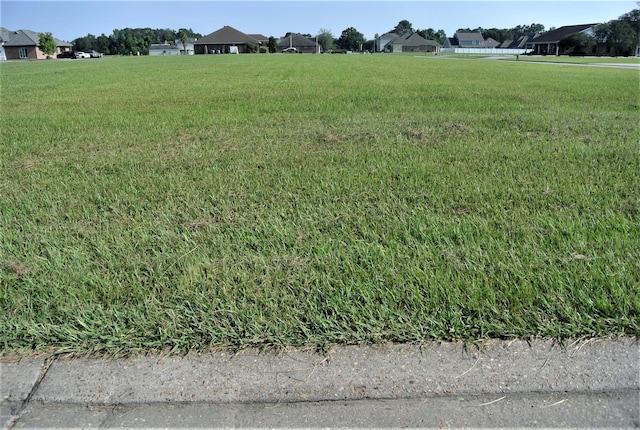 3 Andre St Unit B, New Iberia, LA 70563 - photo 3