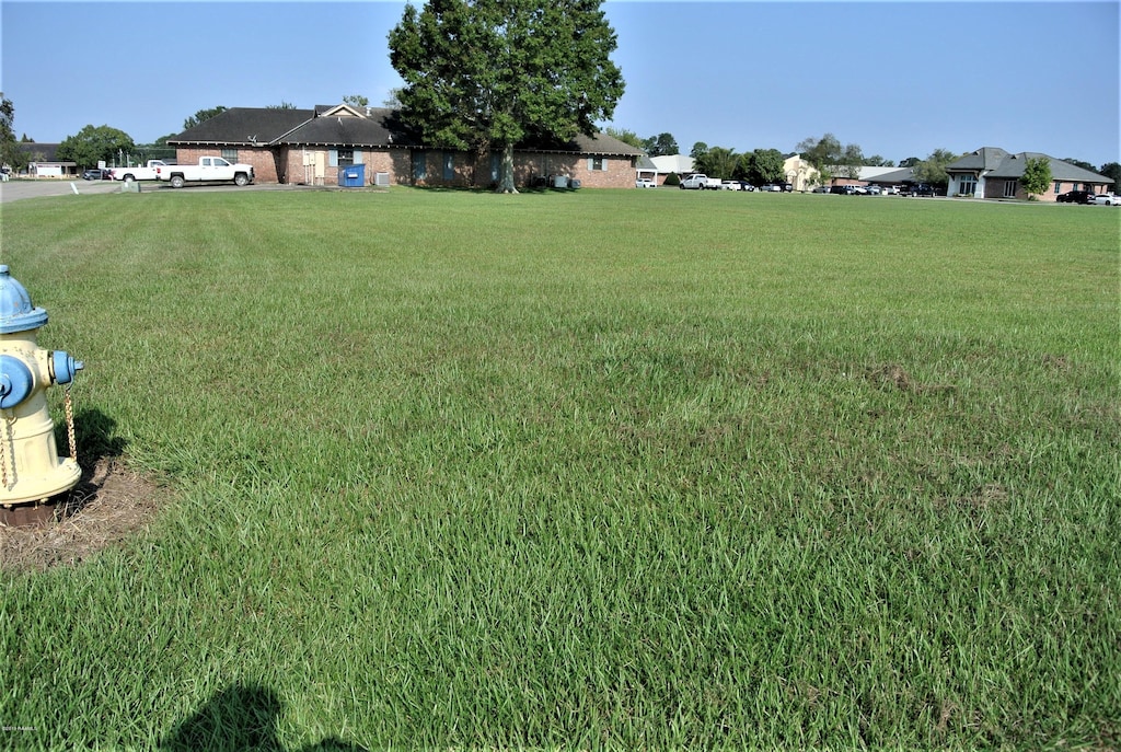 3 Andre St Unit B, New Iberia, LA 70563 - photo 4