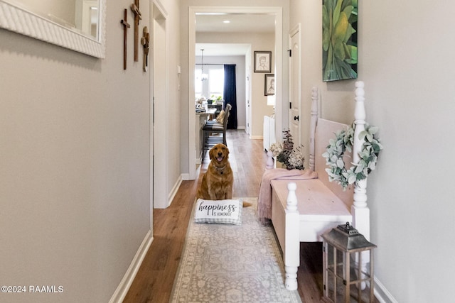 122 Cainwood Ct, Carencro, LA 70520 - hallway featuring wood finished floors and baseboards