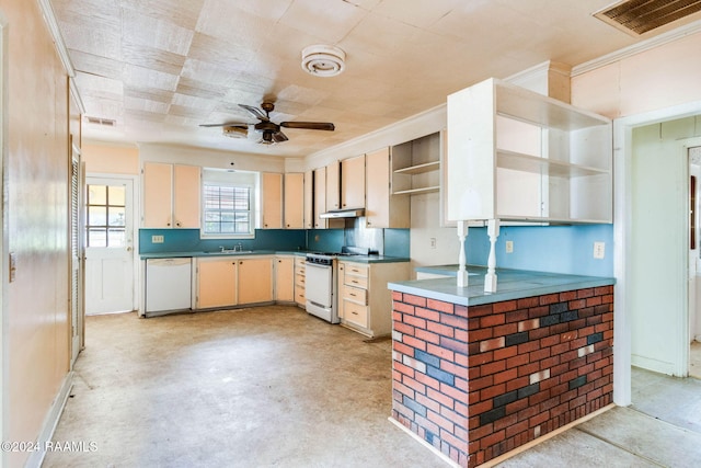 kitchen featuring ornamental molding, ceiling fan, white appliances, and sink