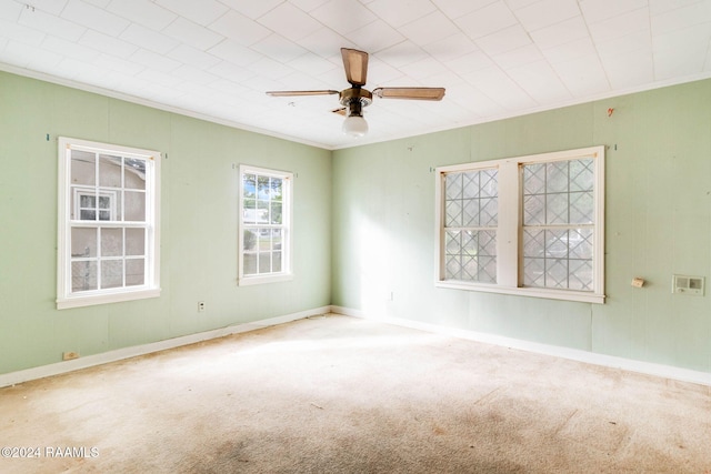 empty room featuring ceiling fan, carpet, and ornamental molding