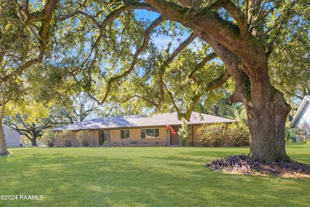 ranch-style house featuring a front lawn