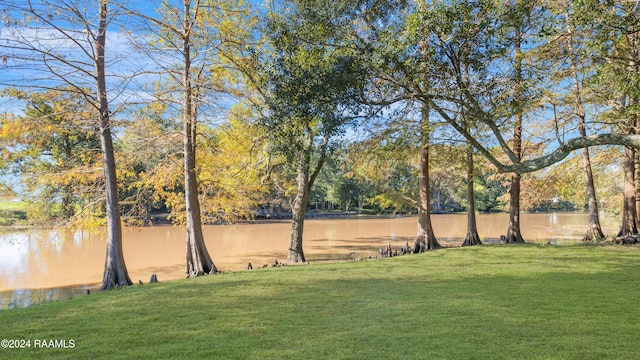 view of yard featuring a water view