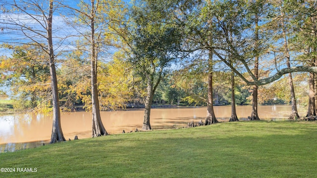 4106 Walnut Dr, New Iberia, LA 70563 - view of green lawn with a water view