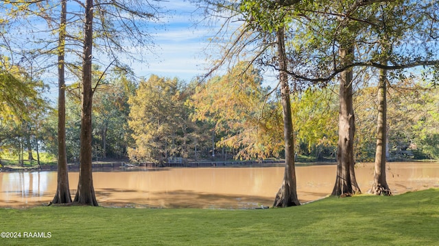 4106 Walnut Dr, New Iberia, LA 70563 - water view
