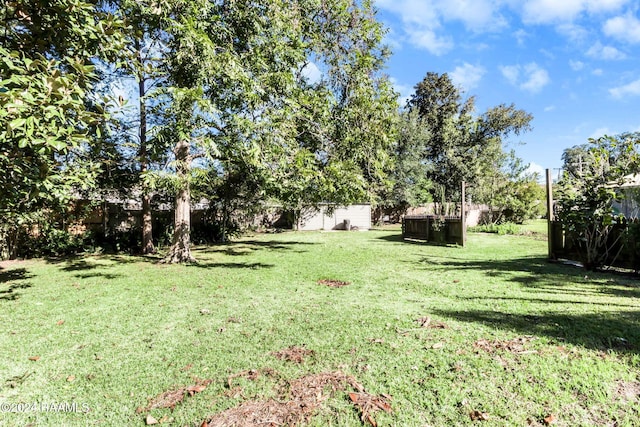 view of yard with a shed