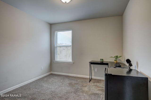 unfurnished office featuring light colored carpet