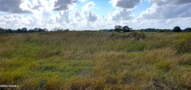 1873 Pitreville Hwy, Church Point, LA 70525 - photo 1