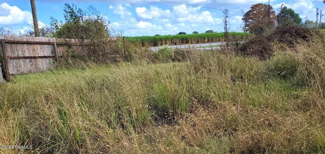 1873 Pitreville Hwy, Church Point, LA 70525 - photo 4