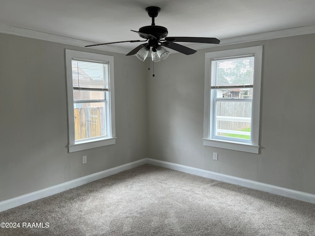 carpeted spare room with ceiling fan and crown molding