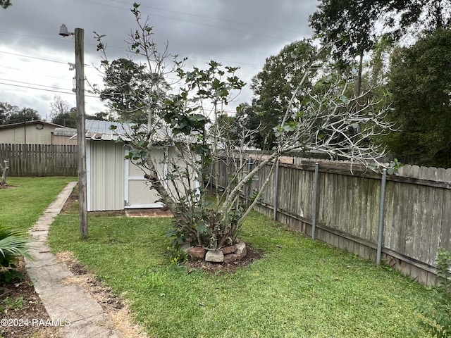 view of yard with a storage unit