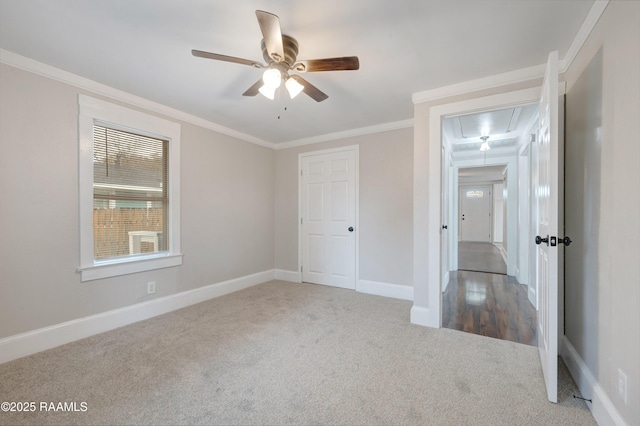 unfurnished bedroom featuring a ceiling fan, carpet, baseboards, attic access, and crown molding