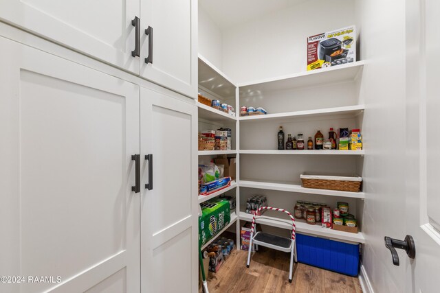 view of pantry