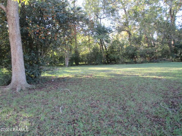 TBD Chavis St, Opelousas LA, 70570 land for sale