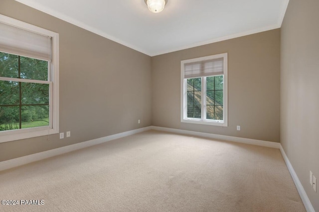 carpeted spare room with ornamental molding