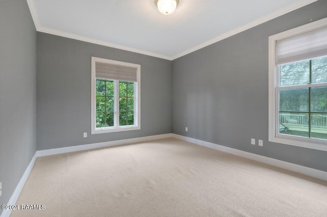 unfurnished room featuring carpet and crown molding