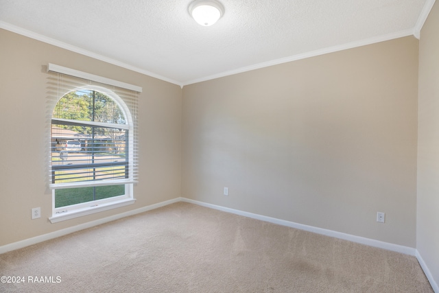 carpeted empty room featuring a textured ceiling and crown molding