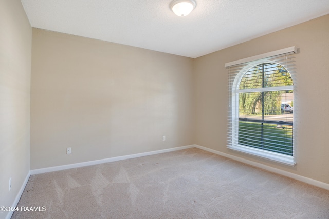 carpeted empty room featuring a textured ceiling