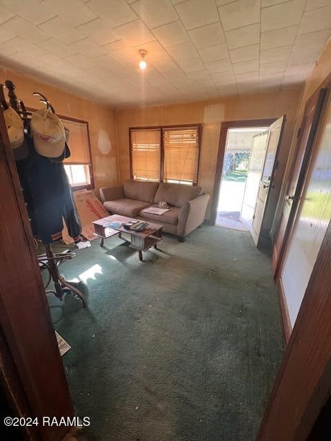 unfurnished living room with carpet flooring and plenty of natural light