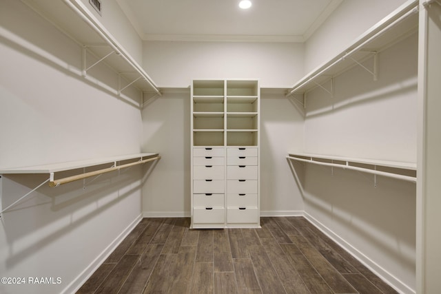 spacious closet featuring dark wood-type flooring