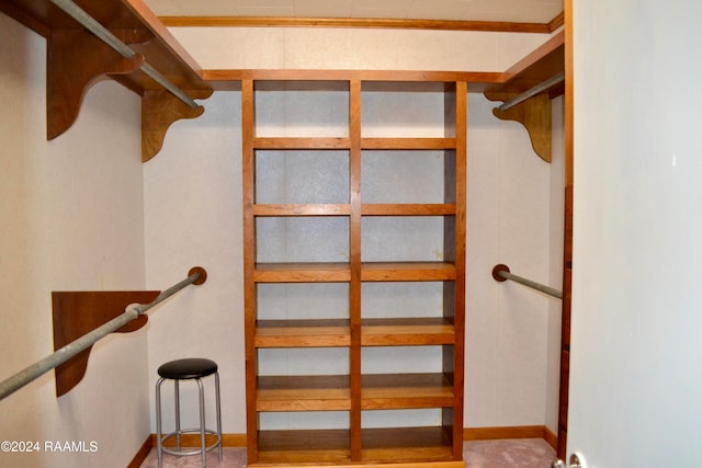 view of spacious closet