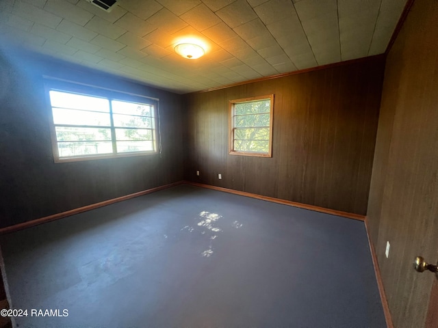 empty room featuring wooden walls, plenty of natural light, and concrete flooring