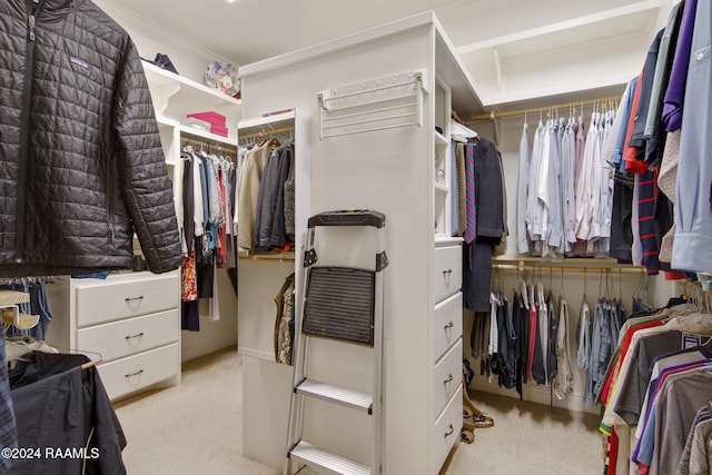 walk in closet featuring light colored carpet