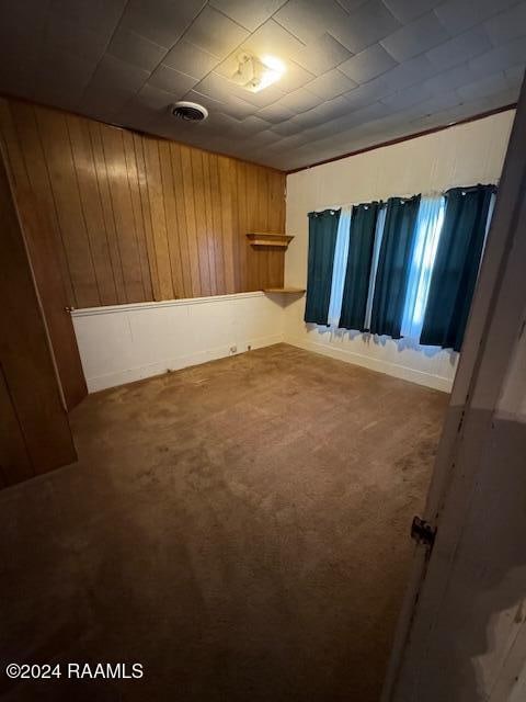 interior space with carpet and wooden walls