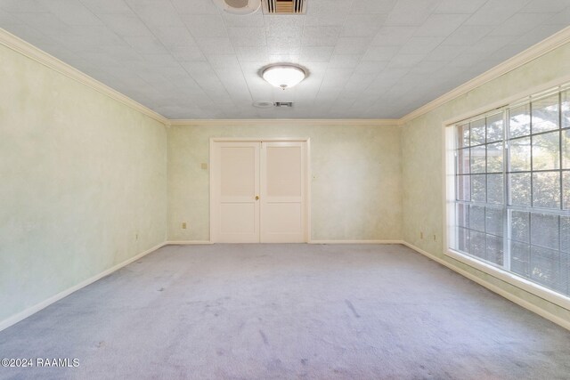 carpeted spare room featuring ornamental molding