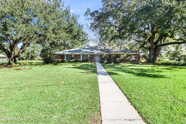 ranch-style home with a front yard