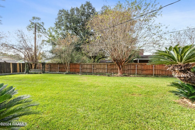 227 Meadow Ln, Lafayette, LA 70506 - view of yard