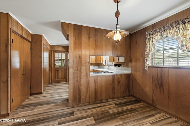 kitchen with decorative light fixtures, wood walls, ornamental molding, and dark wood-type flooring