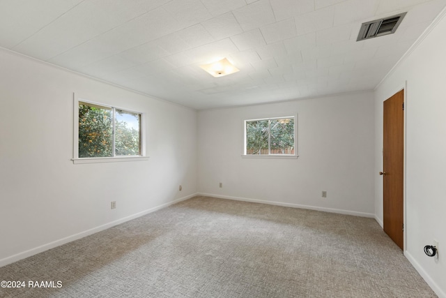 carpeted empty room with a wealth of natural light and crown molding