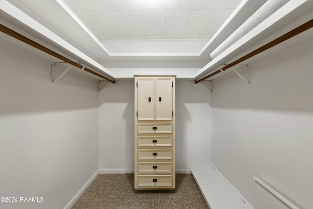 walk in closet with carpet