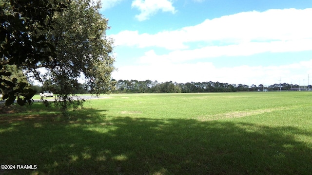 N Cutting Ave, Jennings, LA 70546 - photo 4