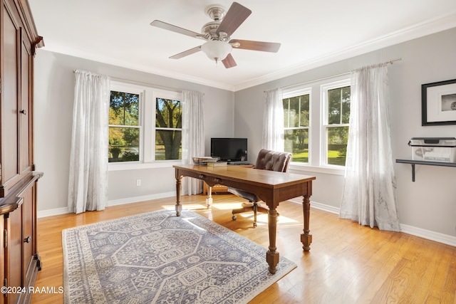 home office featuring light hardwood / wood-style flooring, ceiling fan, and ornamental molding