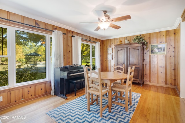 dining space with ceiling fan, wooden walls, light hardwood / wood-style floors, and ornamental molding