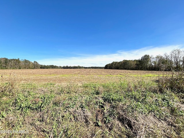 Listing photo 2 for LOT4 Savoie Rd, Cankton LA 70584