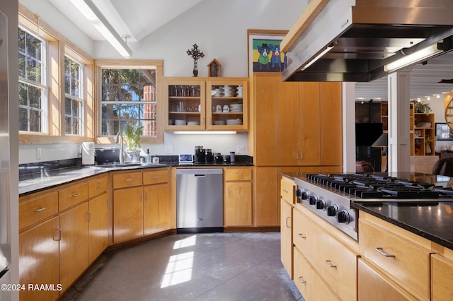 kitchen featuring appliances with stainless steel finishes, dark tile patterned floors, sink, exhaust hood, and lofted ceiling