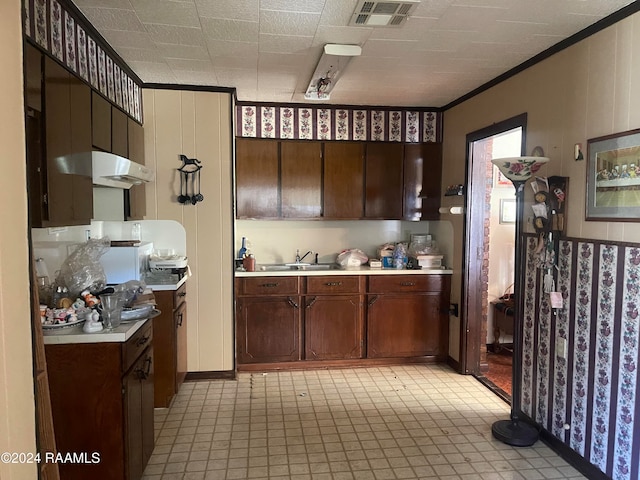 kitchen with crown molding, dark brown cabinetry, and sink