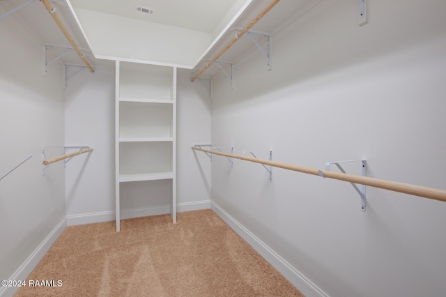 spacious closet featuring carpet flooring